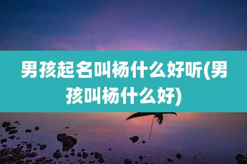 男孩起名叫杨什么好听(男孩叫杨什么好)