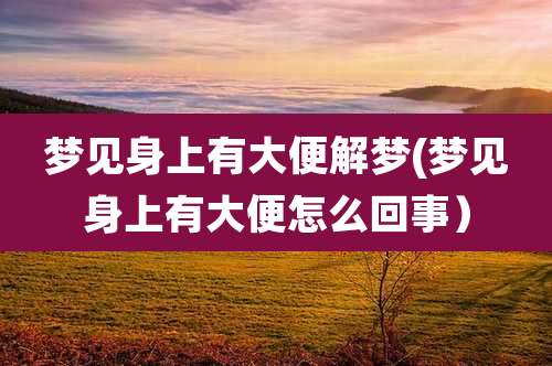 梦见身上有大便解梦(梦见身上有大便怎么回事)