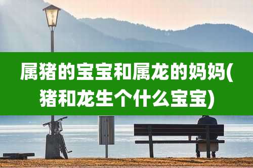 属猪的宝宝和属龙的妈妈(猪和龙生个什么宝宝)