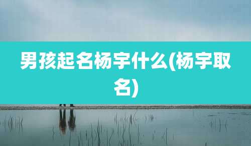 男孩起名杨宇什么(杨宇取名)