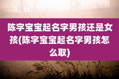 陈字宝宝起名字男孩还是女孩(陈字宝宝起名字男孩怎么取)