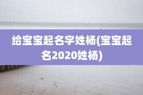 给宝宝起名字姓杨(宝宝起名2020姓杨)