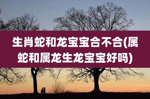 生肖蛇和龙宝宝合不合(属蛇和属龙生龙宝宝好吗)