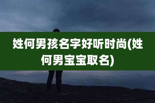 姓何男孩名字好听时尚(姓何男宝宝取名)