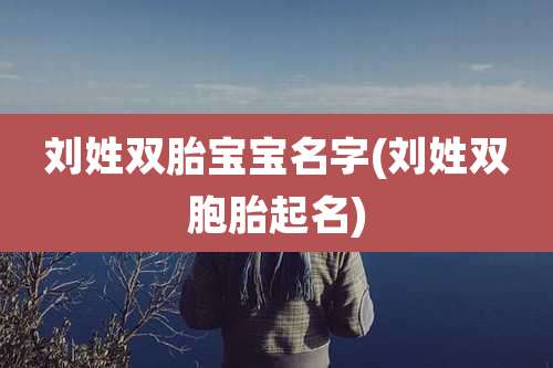 刘姓双胎宝宝名字(刘姓双胞胎起名)