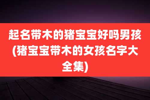 起名带木的猪宝宝好吗男孩(猪宝宝带木的女孩名字大全集)