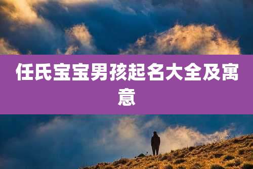 任氏宝宝男孩起名大全及寓意