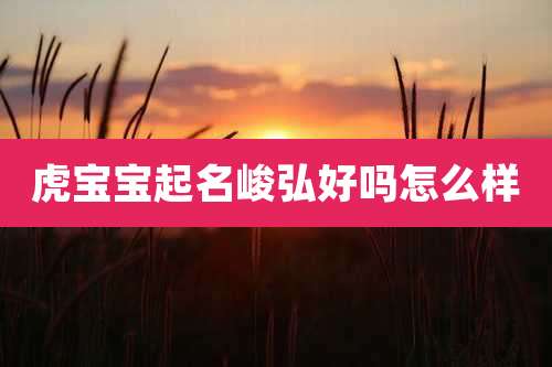 虎宝宝起名峻弘好吗怎么样