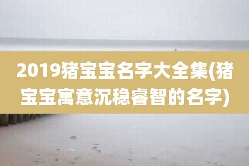 2019猪宝宝名字大全集(猪宝宝寓意沉稳睿智的名字)