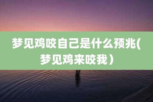 梦见鸡咬自己是什么预兆(梦见鸡来咬我)