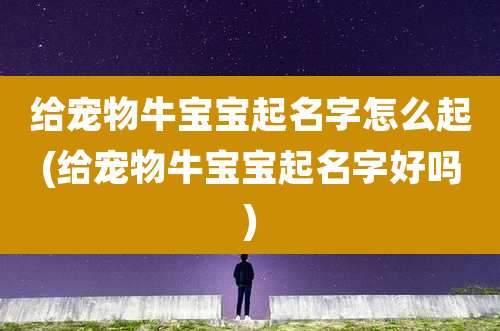 给宠物牛宝宝起名字怎么起(给宠物牛宝宝起名字好吗)