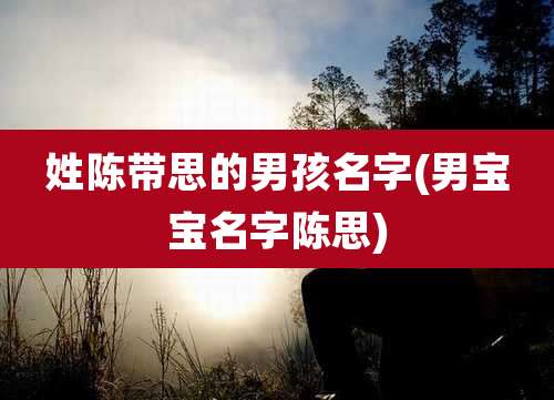 姓陈带思的男孩名字(男宝宝名字陈思)