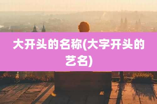 大开头的名称(大字开头的艺名)