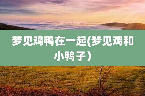 梦见鸡鸭在一起(梦见鸡和小鸭子)