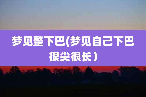 梦见整下巴(梦见自己下巴很尖很长)