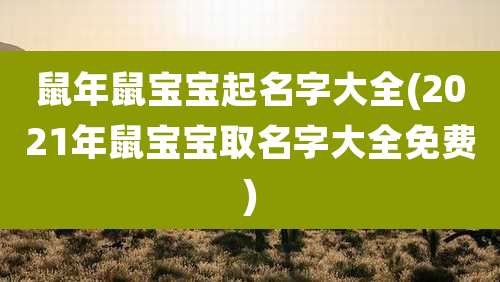 鼠年鼠宝宝起名字大全(2021年鼠宝宝取名字大全免费)