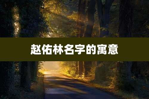 赵佑林名字的寓意