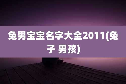 兔男宝宝名字大全2011(兔子 男孩)