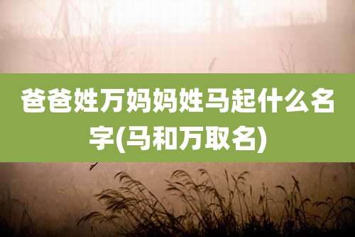 爸爸姓万妈妈姓马起什么名字(马和万取名)