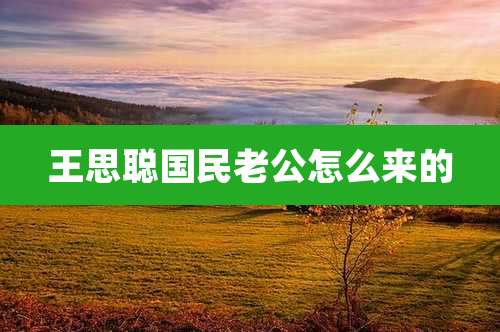 王思聪国民老公怎么来的