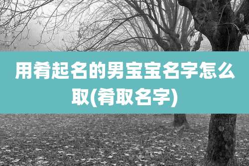 用肴起名的男宝宝名字怎么取(肴取名字)