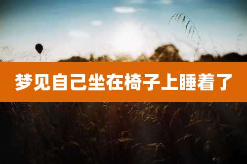 梦见自己坐在椅子上睡着了