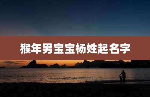 猴年男宝宝杨姓起名字