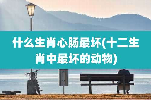 什么生肖心肠最坏(十二生肖中最坏的动物)