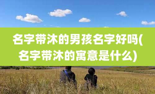 名字带沐的男孩名字好吗(名字带沐的寓意是什么)