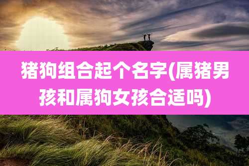 猪狗组合起个名字(属猪男孩和属狗女孩合适吗)