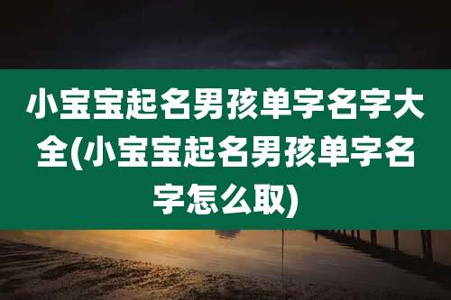 小宝宝起名男孩单字名字大全(小宝宝起名男孩单字名字怎么取)