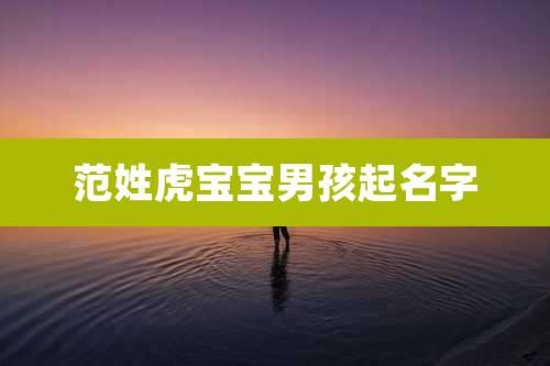 范姓虎宝宝男孩起名字