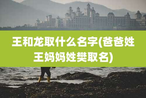王和龙取什么名字(爸爸姓王妈妈姓樊取名)