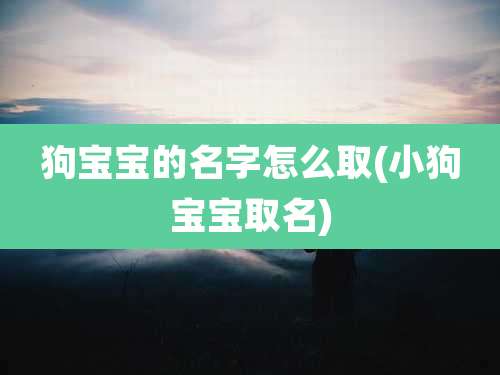 狗宝宝的名字怎么取(小狗宝宝取名)