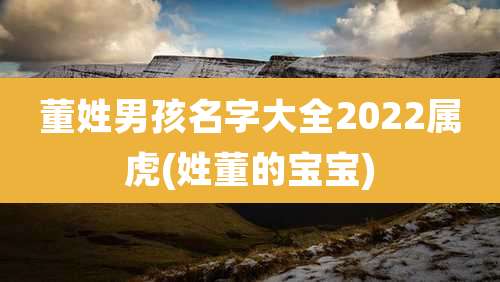 董姓男孩名字大全2022属虎(姓董的宝宝)