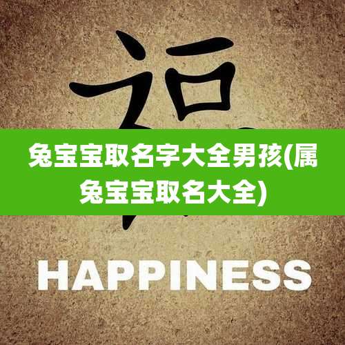 兔宝宝取名字大全男孩(属兔宝宝取名大全)