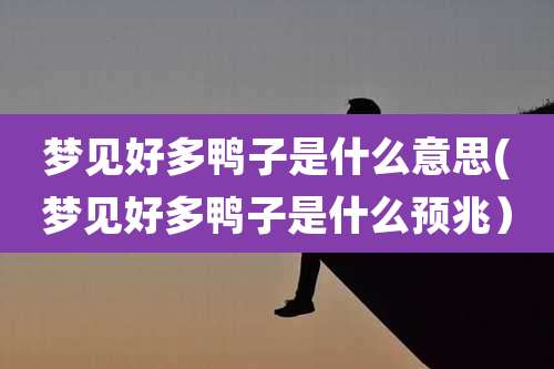 梦见好多鸭子是什么意思(梦见好多鸭子是什么预兆)