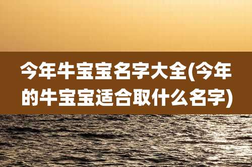 今年牛宝宝名字大全(今年的牛宝宝适合取什么名字)