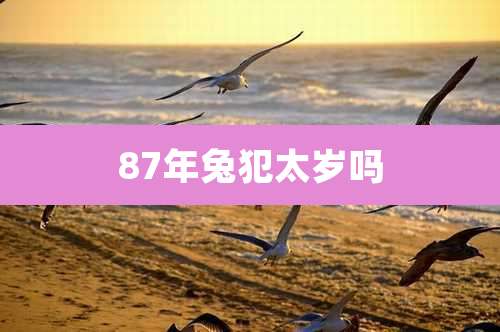 87年兔犯太岁吗