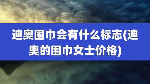 迪奥围巾会有什么标志(迪奥的围巾女士价格)