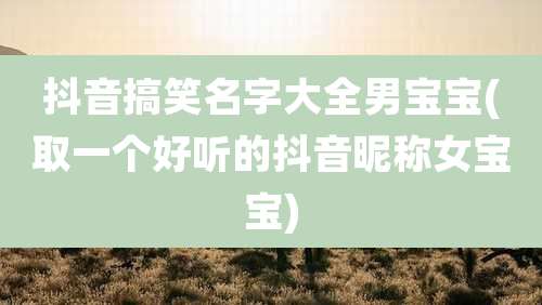 抖音搞笑名字大全男宝宝(取一个好听的抖音昵称女宝宝)