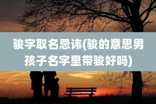 骏字取名忌讳(骏的意思男孩子名字里带骏好吗)