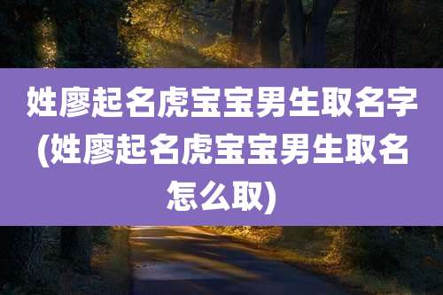 姓廖起名虎宝宝男生取名字(姓廖起名虎宝宝男生取名怎么取)