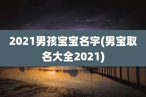 2021男孩宝宝名字(男宝取名大全2021)