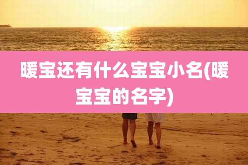 暖宝还有什么宝宝小名(暖宝宝的名字)