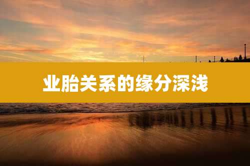 业胎关系的缘分深浅