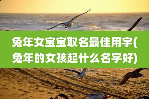 兔年女宝宝取名最佳用字(兔年的女孩起什么名字好)
