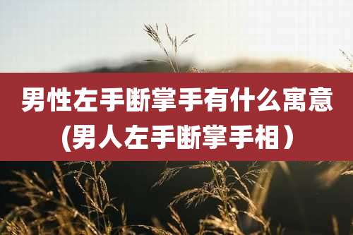 男性左手断掌手有什么寓意(男人左手断掌手相)