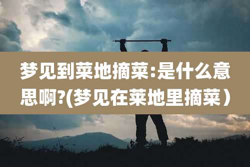 梦见到菜地摘菜:是什么意思啊?(梦见在莱地里摘菜)
