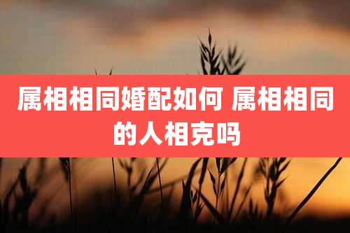 属相相同婚配如何 属相相同的人相克吗